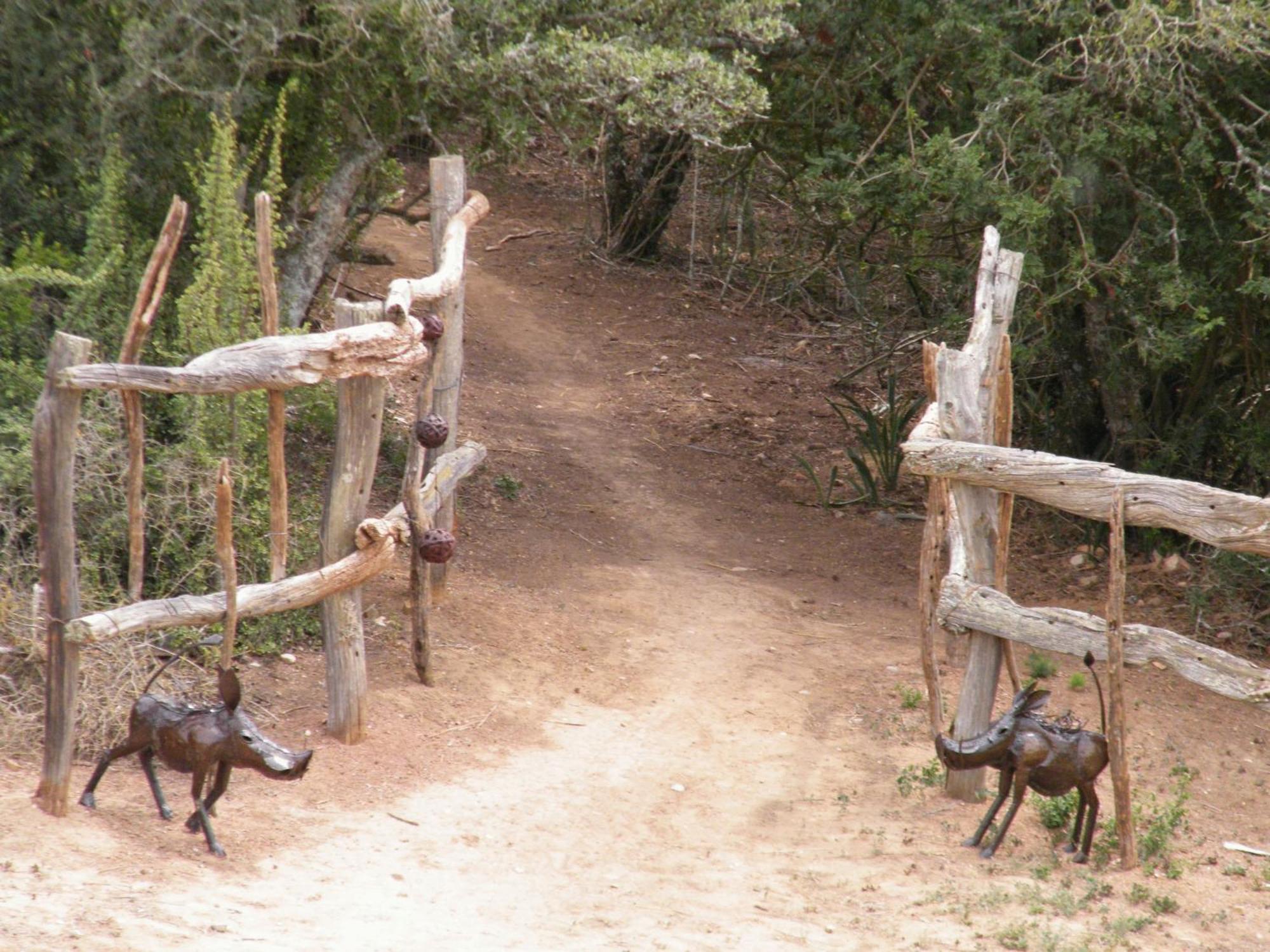 Addo Dung Beetle Guest Farm Villa Bagian luar foto