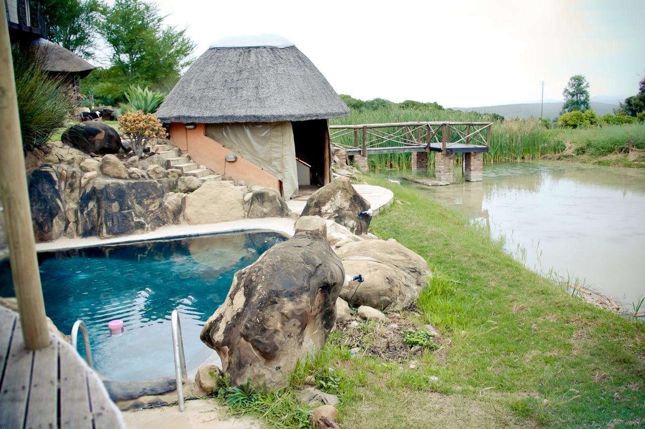Addo Dung Beetle Guest Farm Villa Bagian luar foto