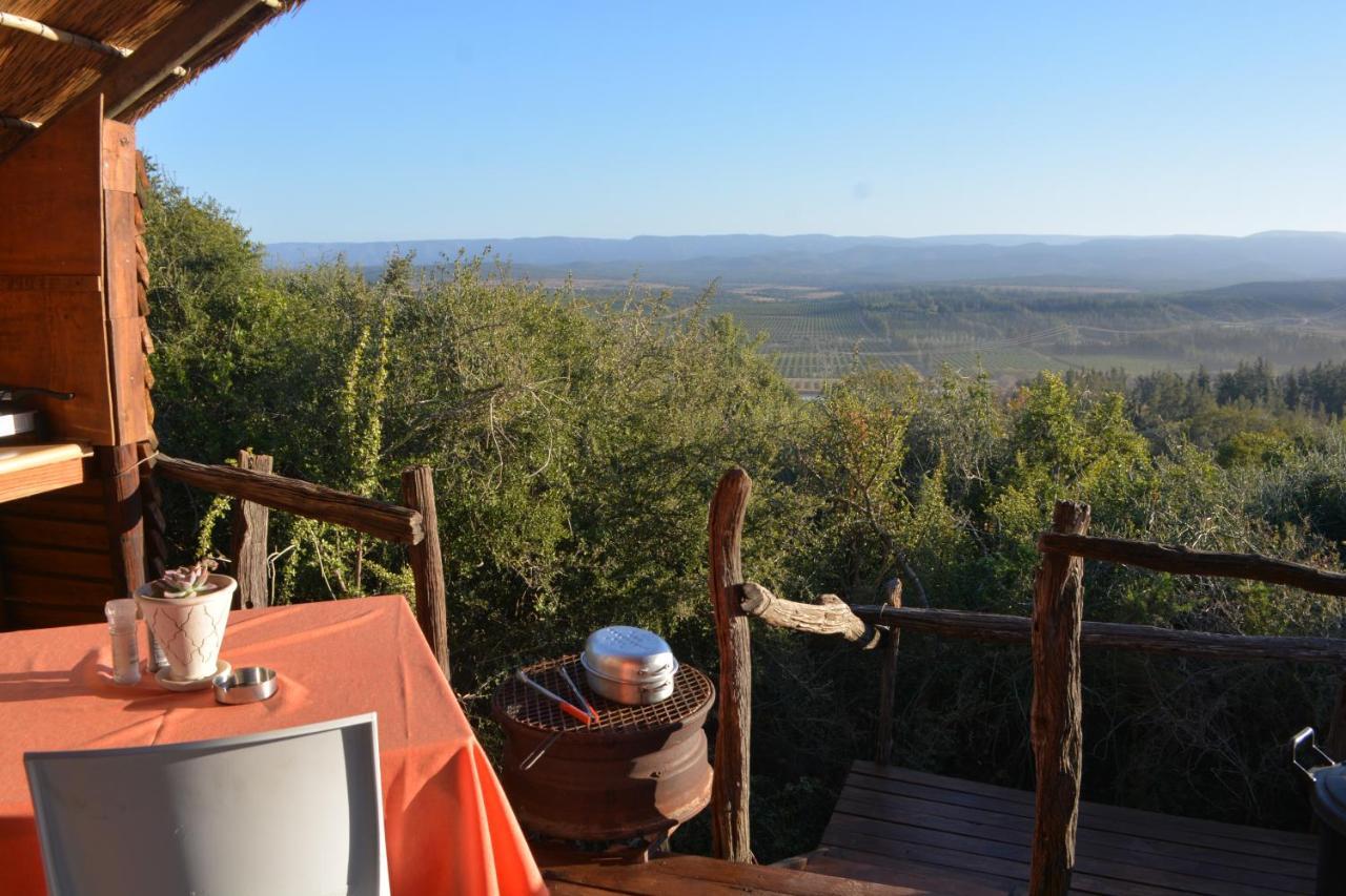 Addo Dung Beetle Guest Farm Villa Bagian luar foto