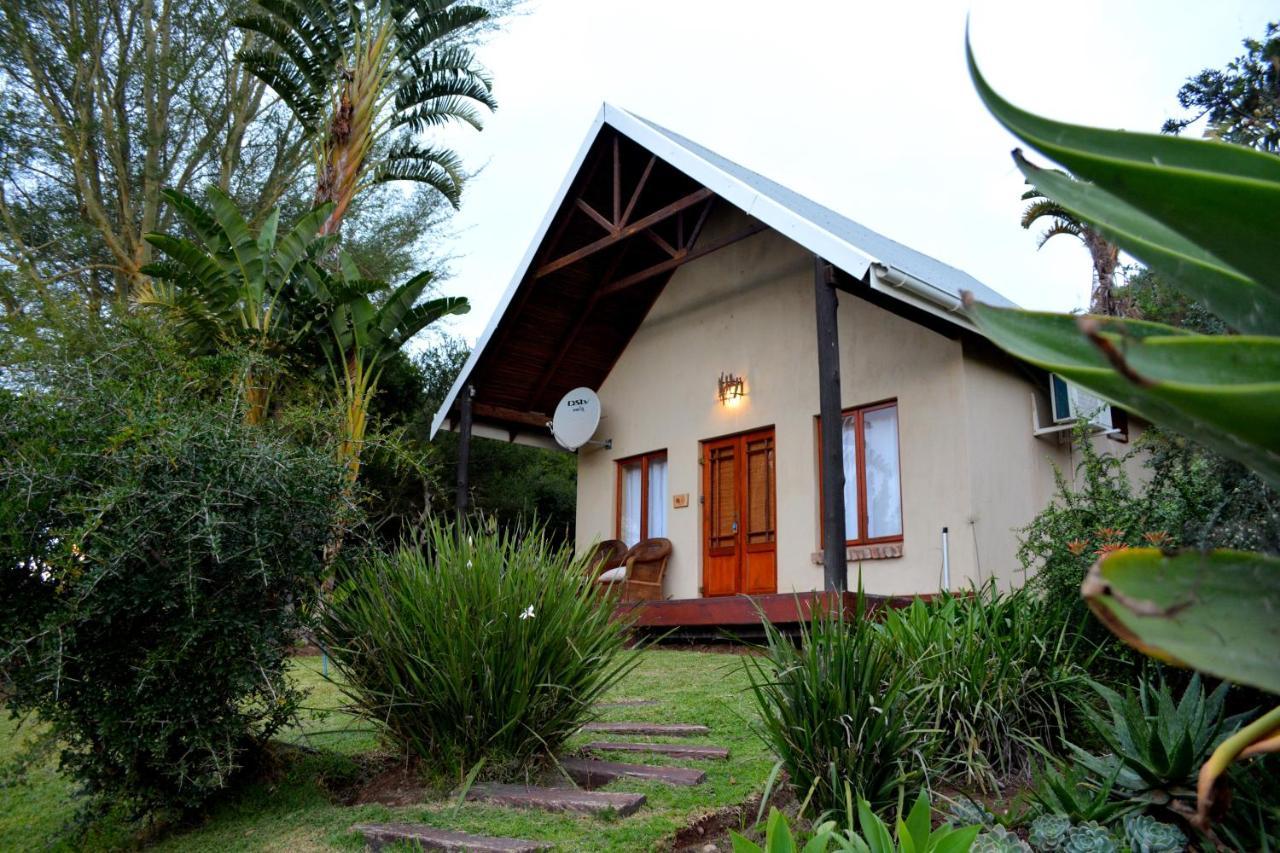 Addo Dung Beetle Guest Farm Villa Bagian luar foto