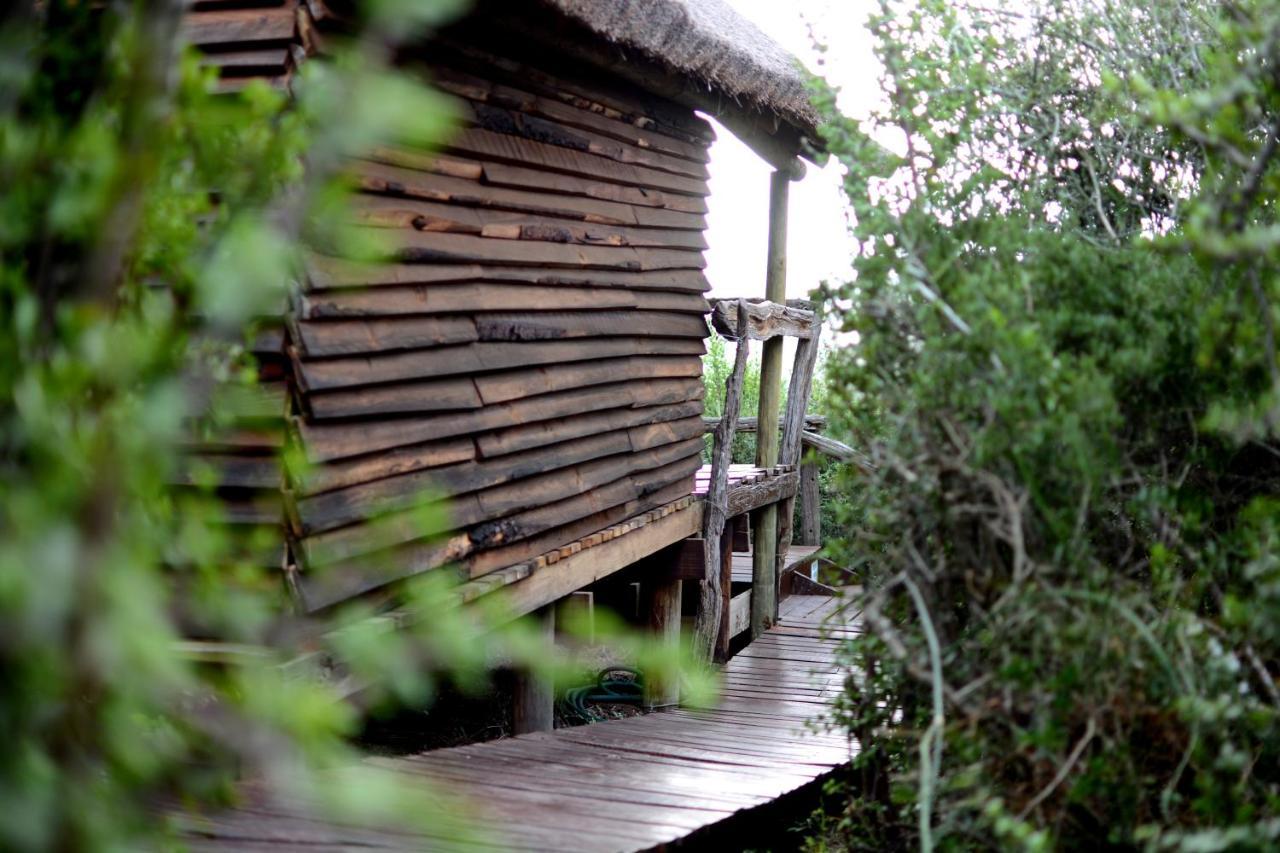 Addo Dung Beetle Guest Farm Villa Bagian luar foto